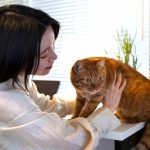 How Cat boarding Dubai Reduces Separation Anxiety